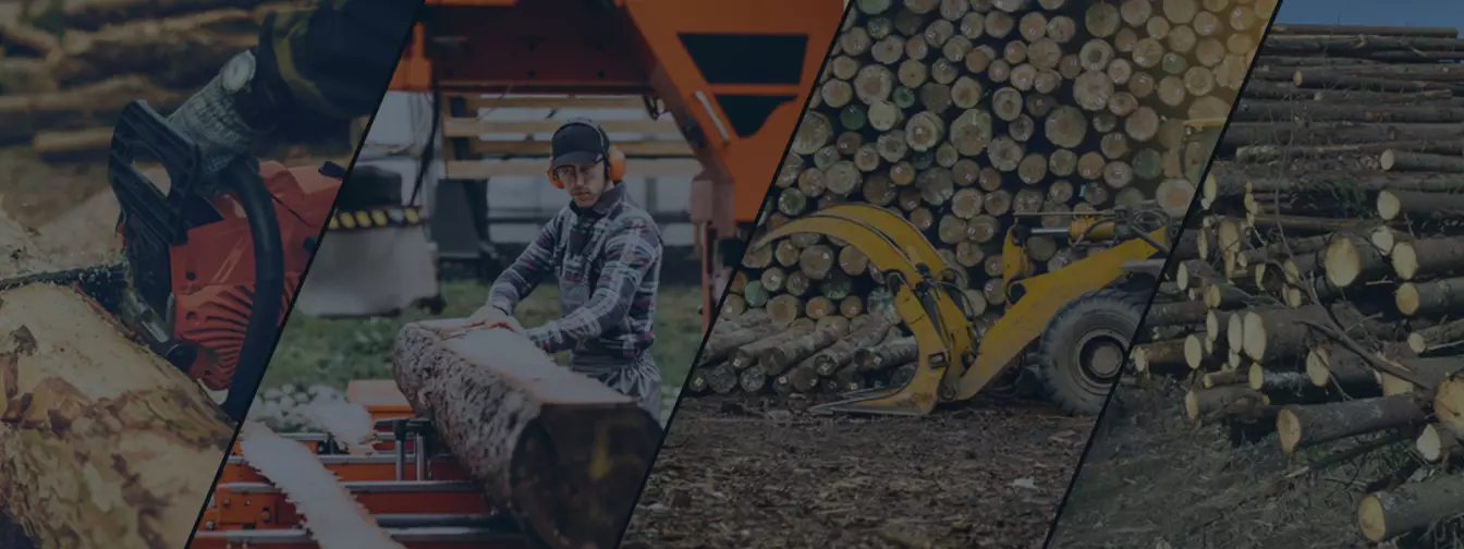 Šumarstvo i seča drveća