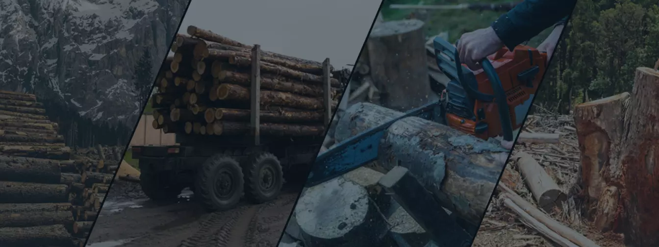 Šumarstvo i seča drveća