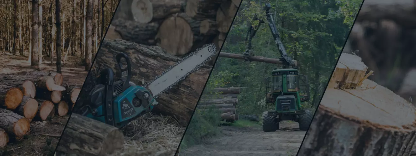 Šumarstvo i seča drveća