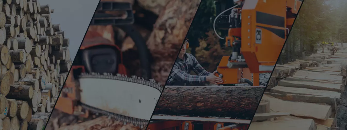 Šumarstvo i seča drveća