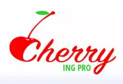CHERRY ING-PRO