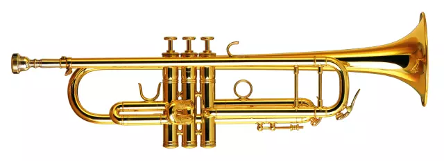 Ctruba