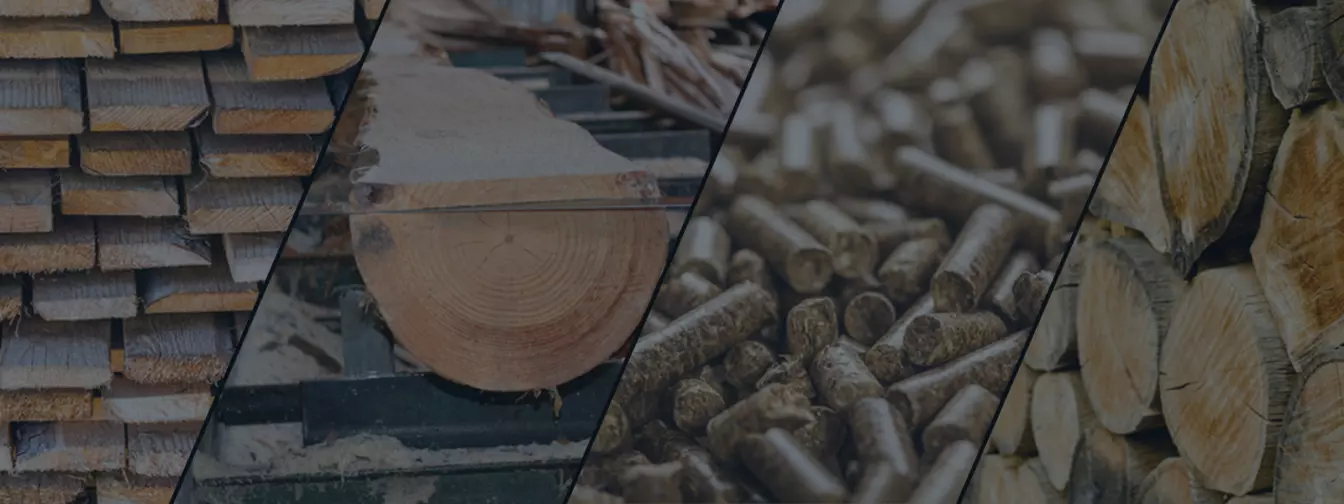 Drvna industrija i proizvodi od drveta