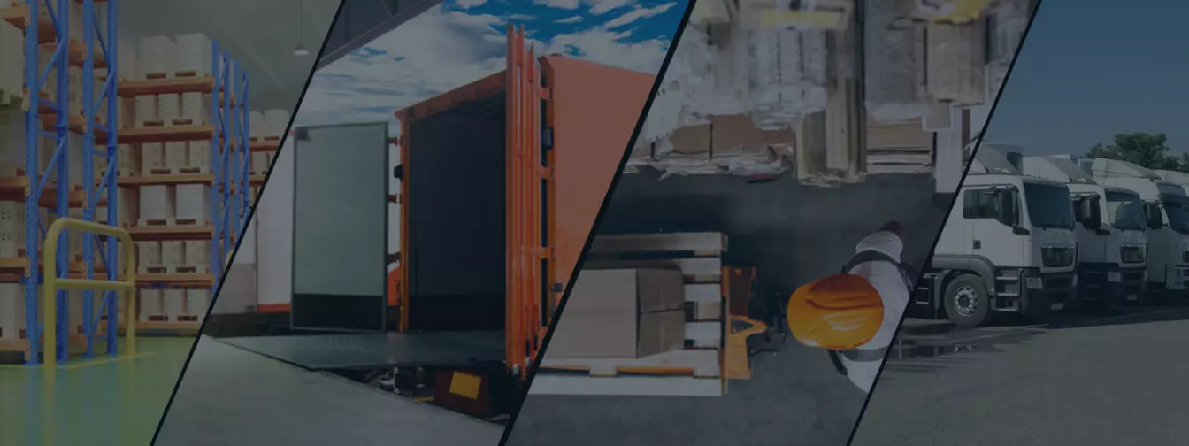 Export - import i distribucija