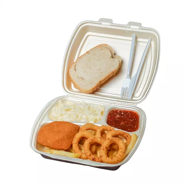 Fast food i pržena riba Bor 1.jpg