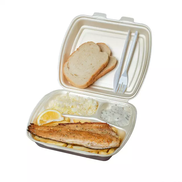 Fast food i pržena riba Bor 4.jpg