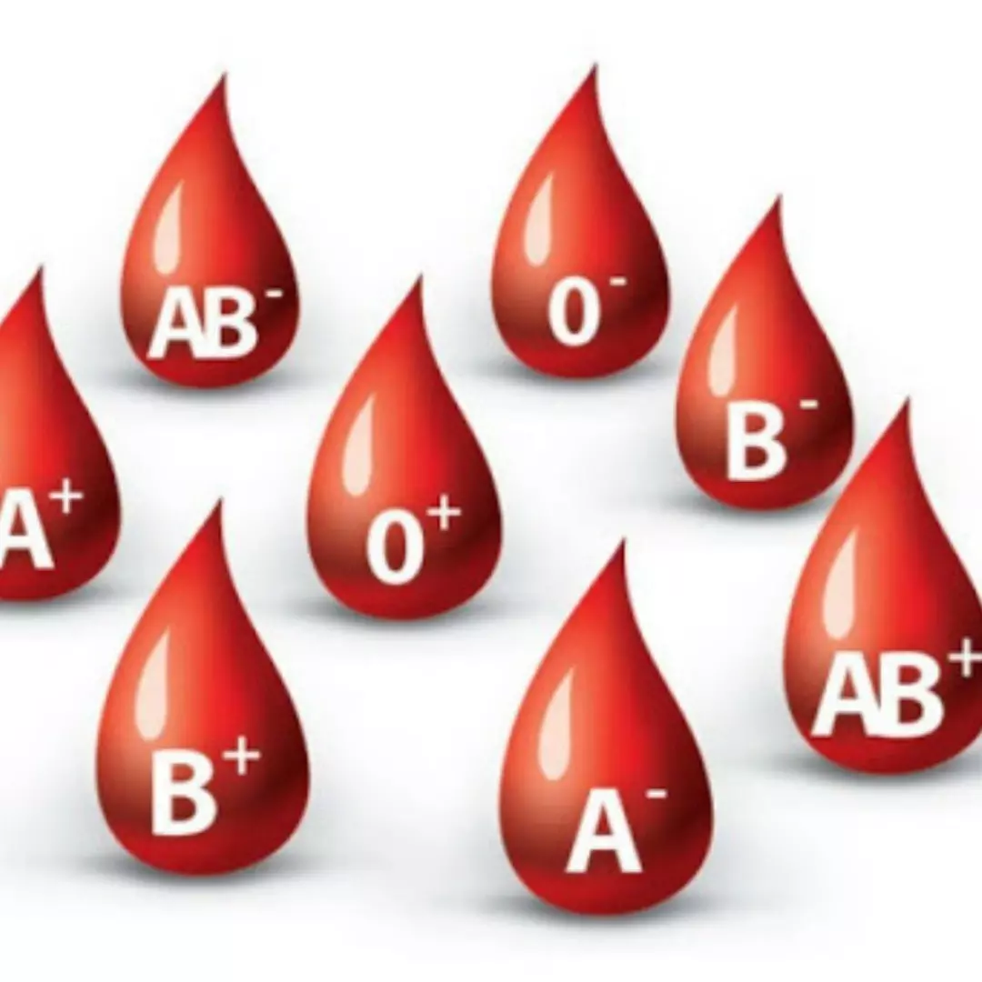 ДобровољнодавањекрвиНоваЦрња1