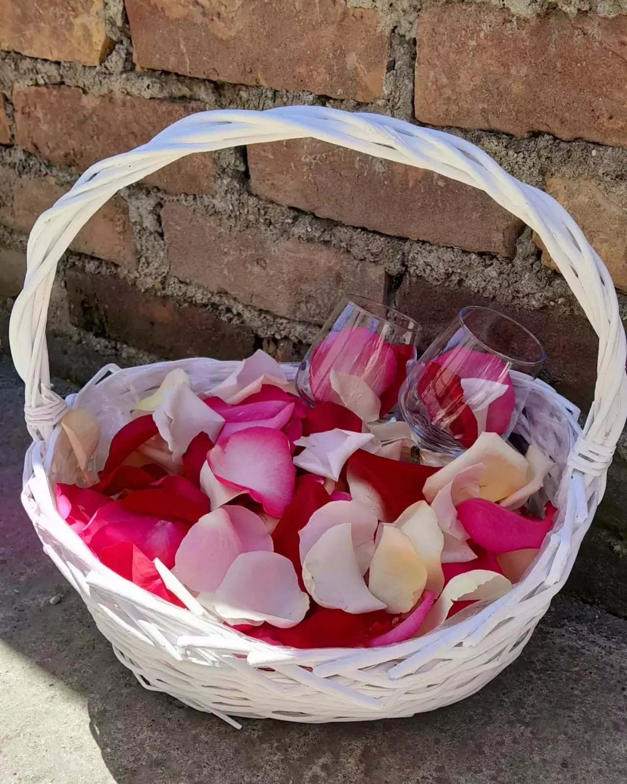 0-02-05-99ec764d1494626c48a0924971fc6222c6c2ce994445c9c6b18dc8e82f25b8e9_28c48515274c83d1 0-02-05-99ec764d1494626c48a0924971fc6222c6c2ce994445c9c6b18dc8e82f25b8e9_28c48515274c83d1