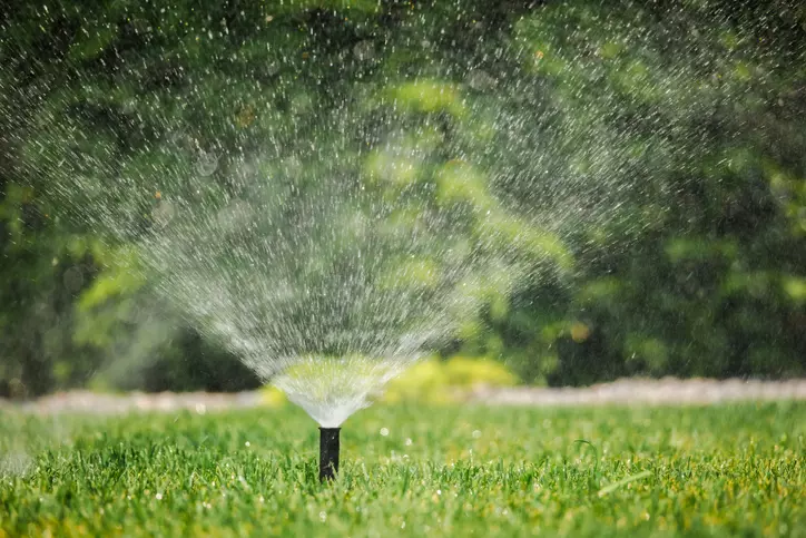AutomatskisistemizazalivanjeSrbijaBeograd