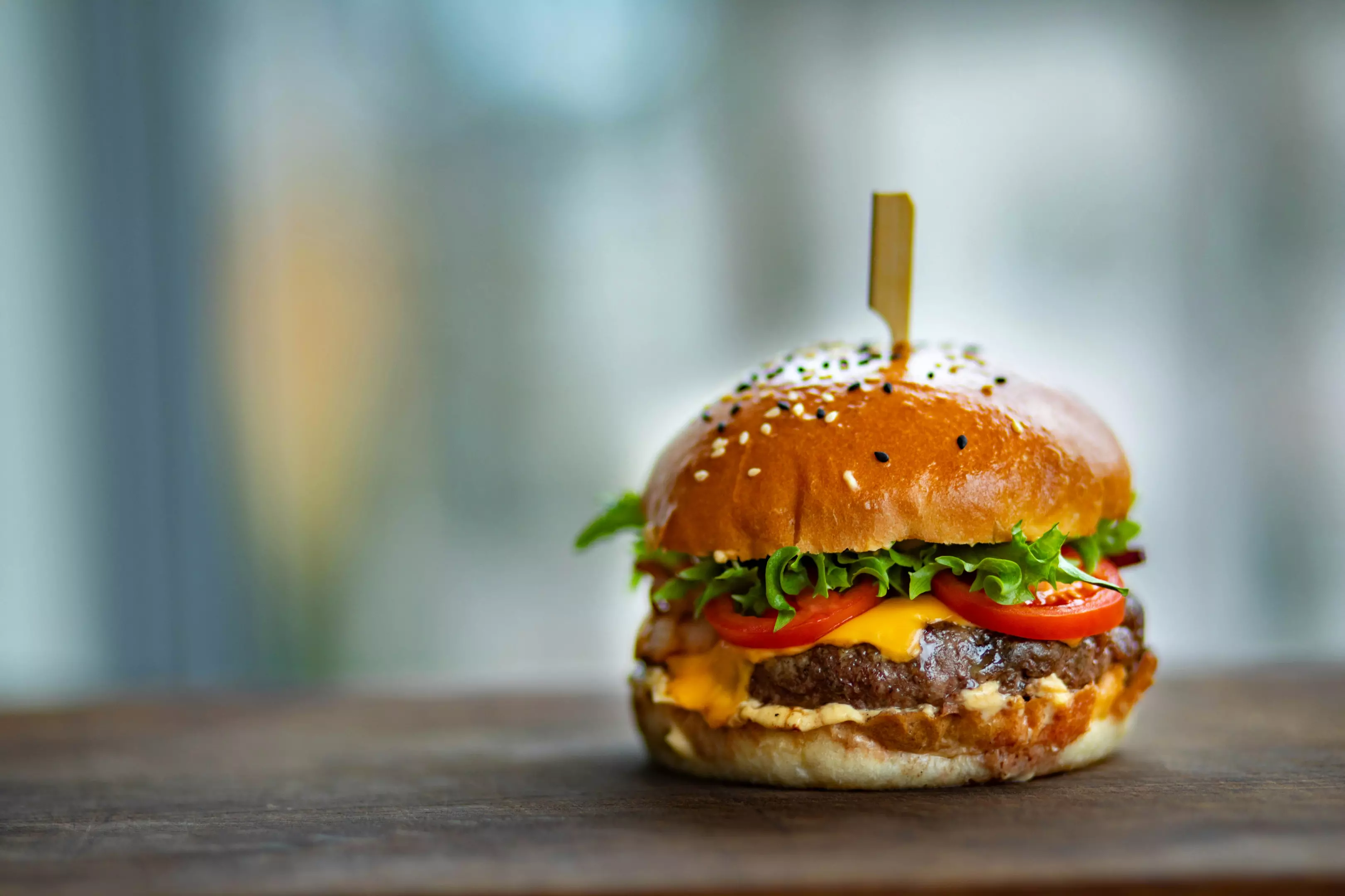 BurgeriipiceDespotovac5