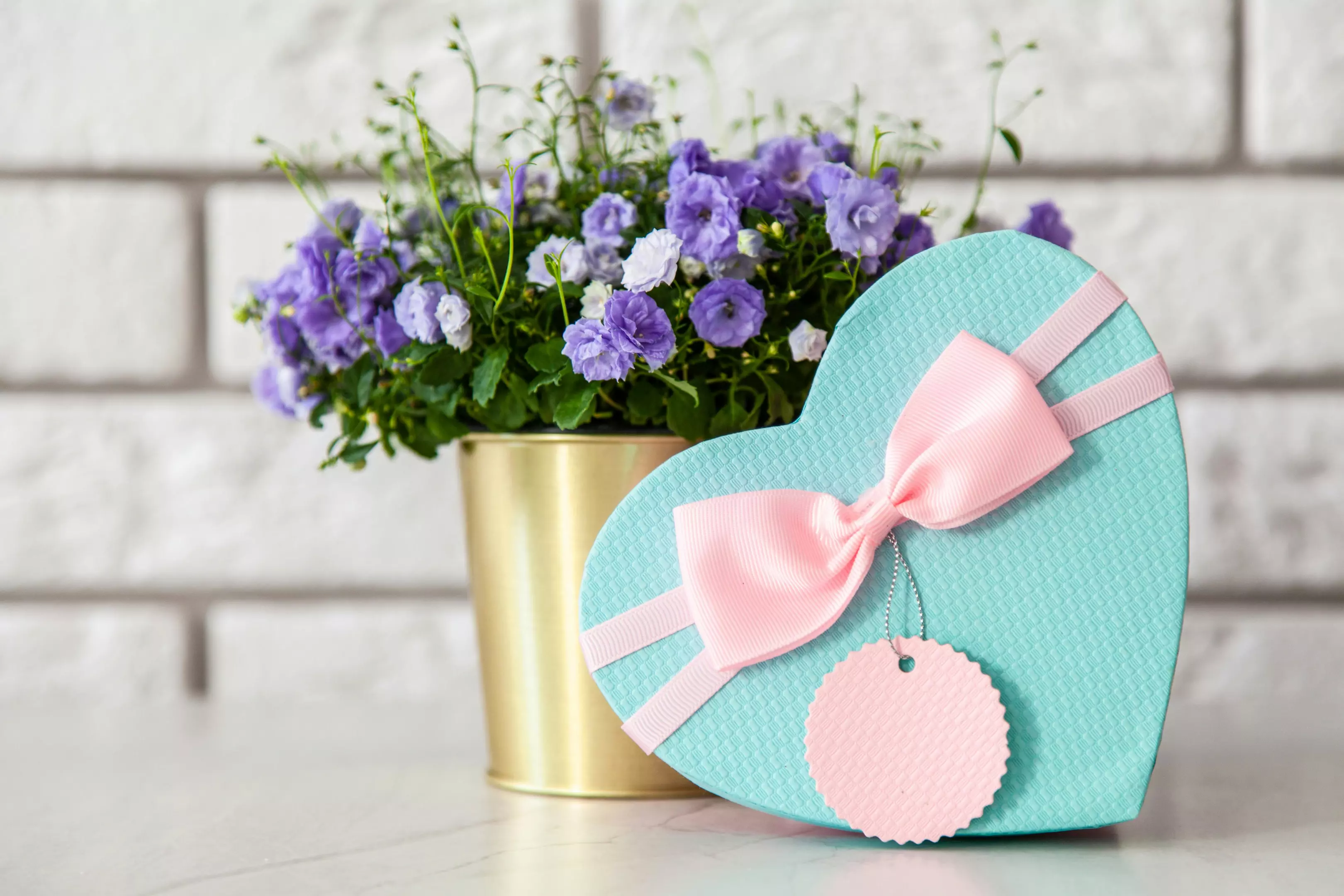 CvećarasadostavomgiftshopKraljevo2