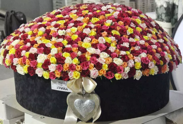 Cvetni-aranžmani-Beograd-Zvezdara2 Cvetni-aranžmani-Beograd-Zvezdara2