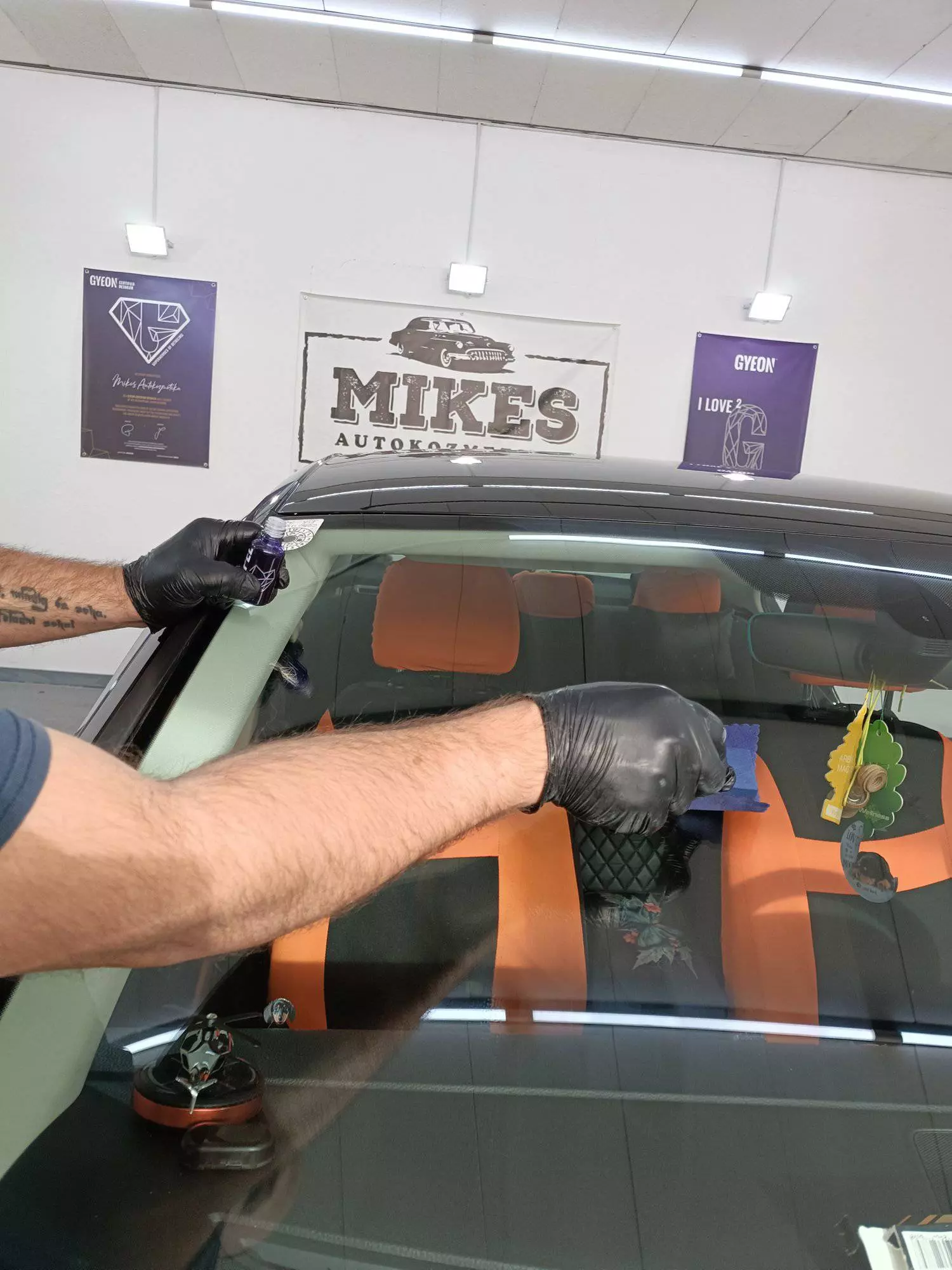 DubinskopranjeautomobilaSenta2