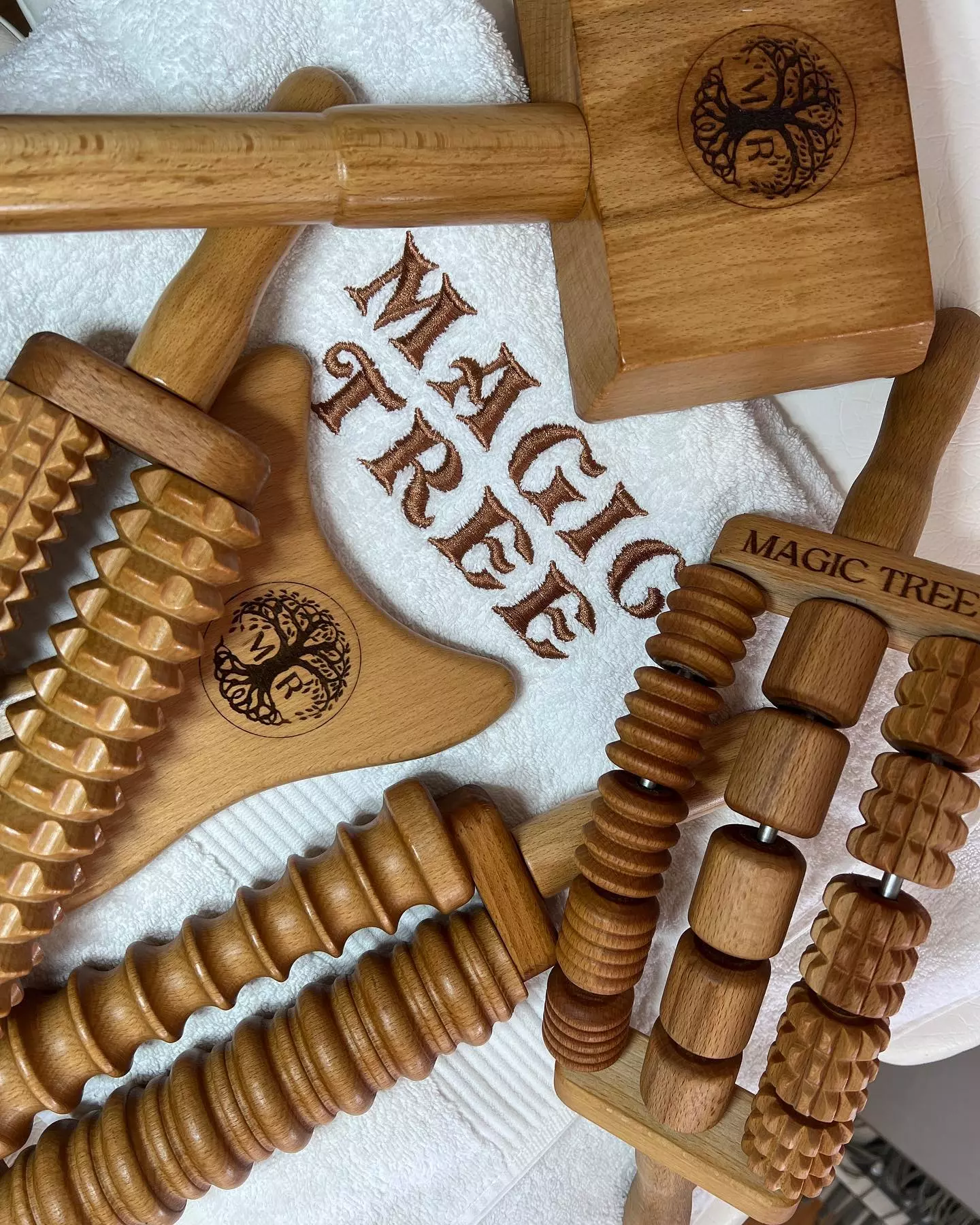 EdukacijazaoblikovanjetelainegulicaČačak3