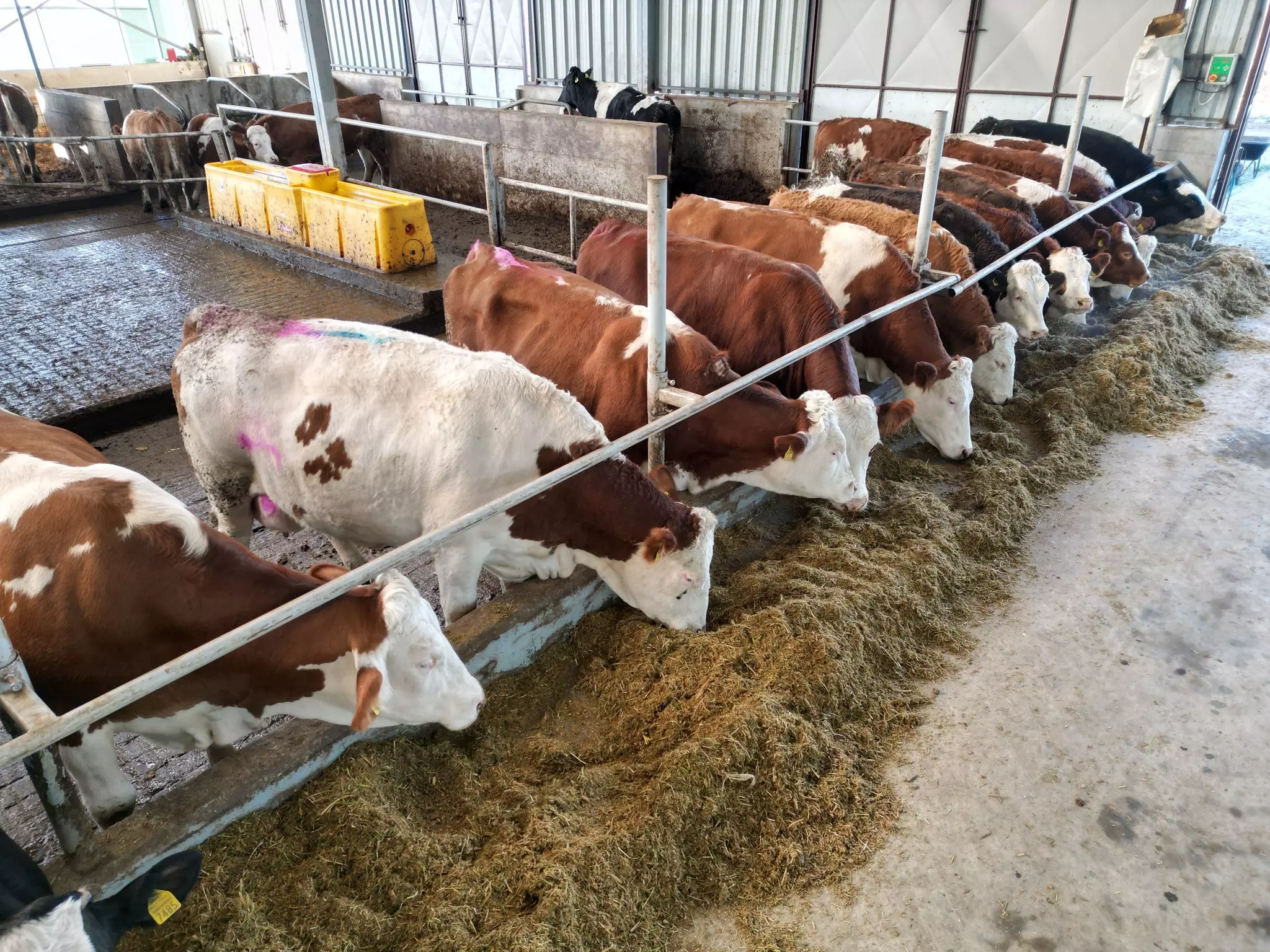 FarmakravaiprodajamlekaPožarevac