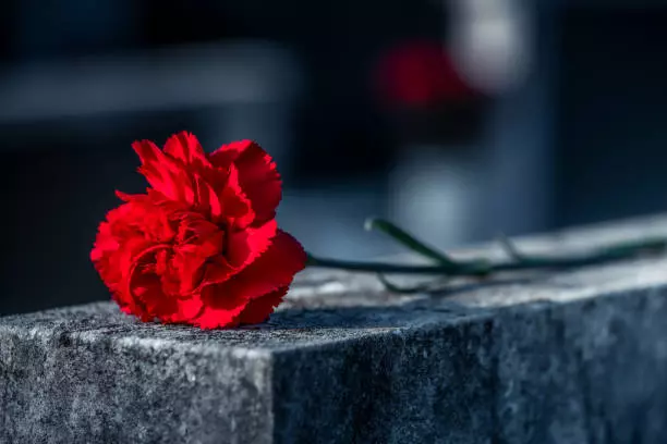 FuneralServicesPodgorica91