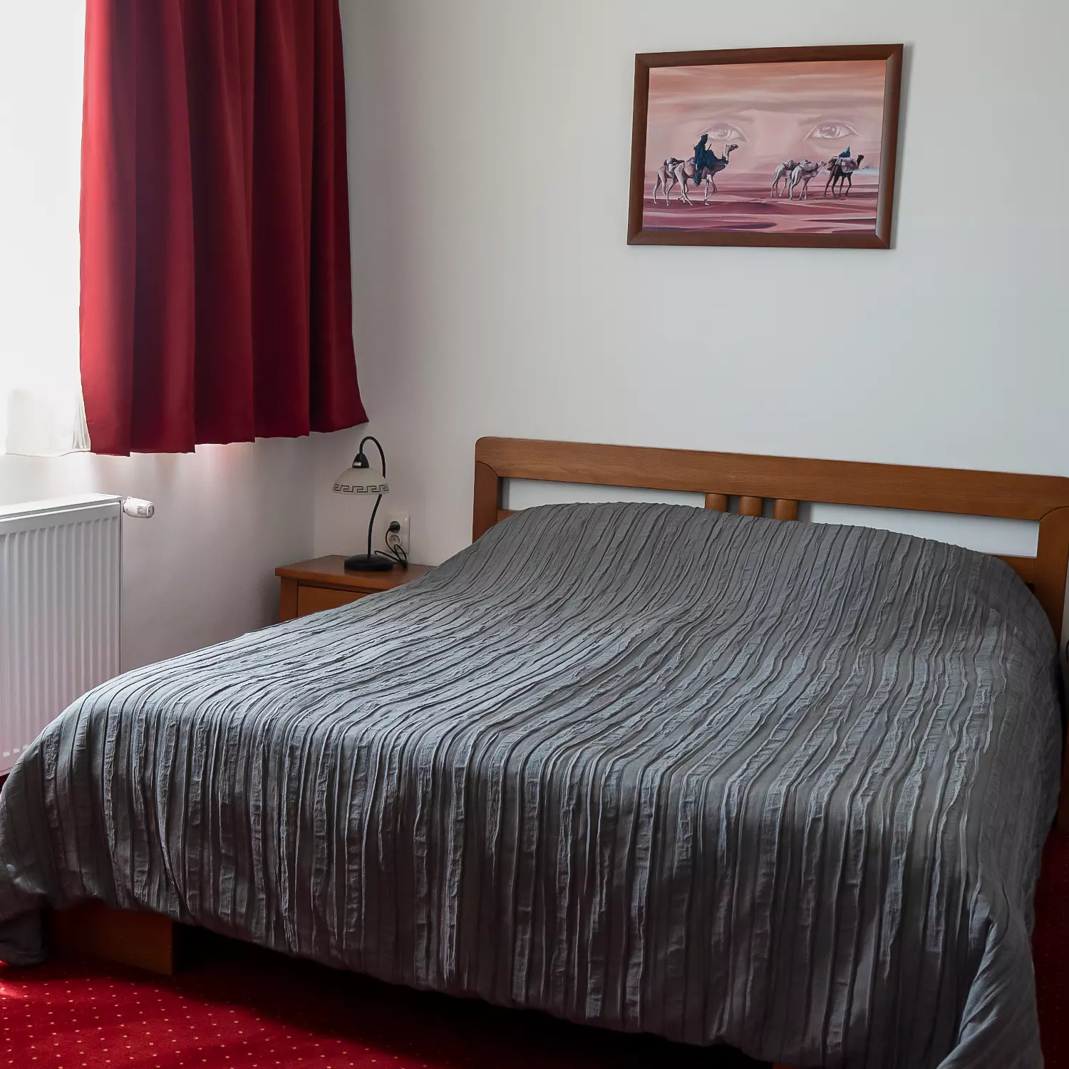 IznajmljivanjesobaiapartmanaZrenjanin3