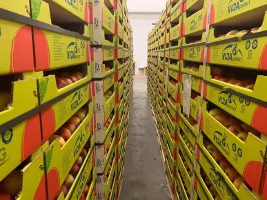 Izvoz-supstrata-za-sokove-Čelarevo-Srbija6