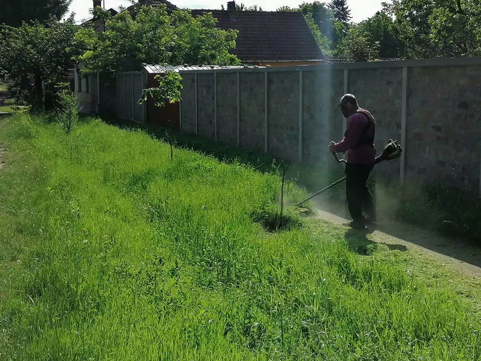 KošenjeiodržavanjedvorištaAda1 KošenjeiodržavanjedvorištaAda1