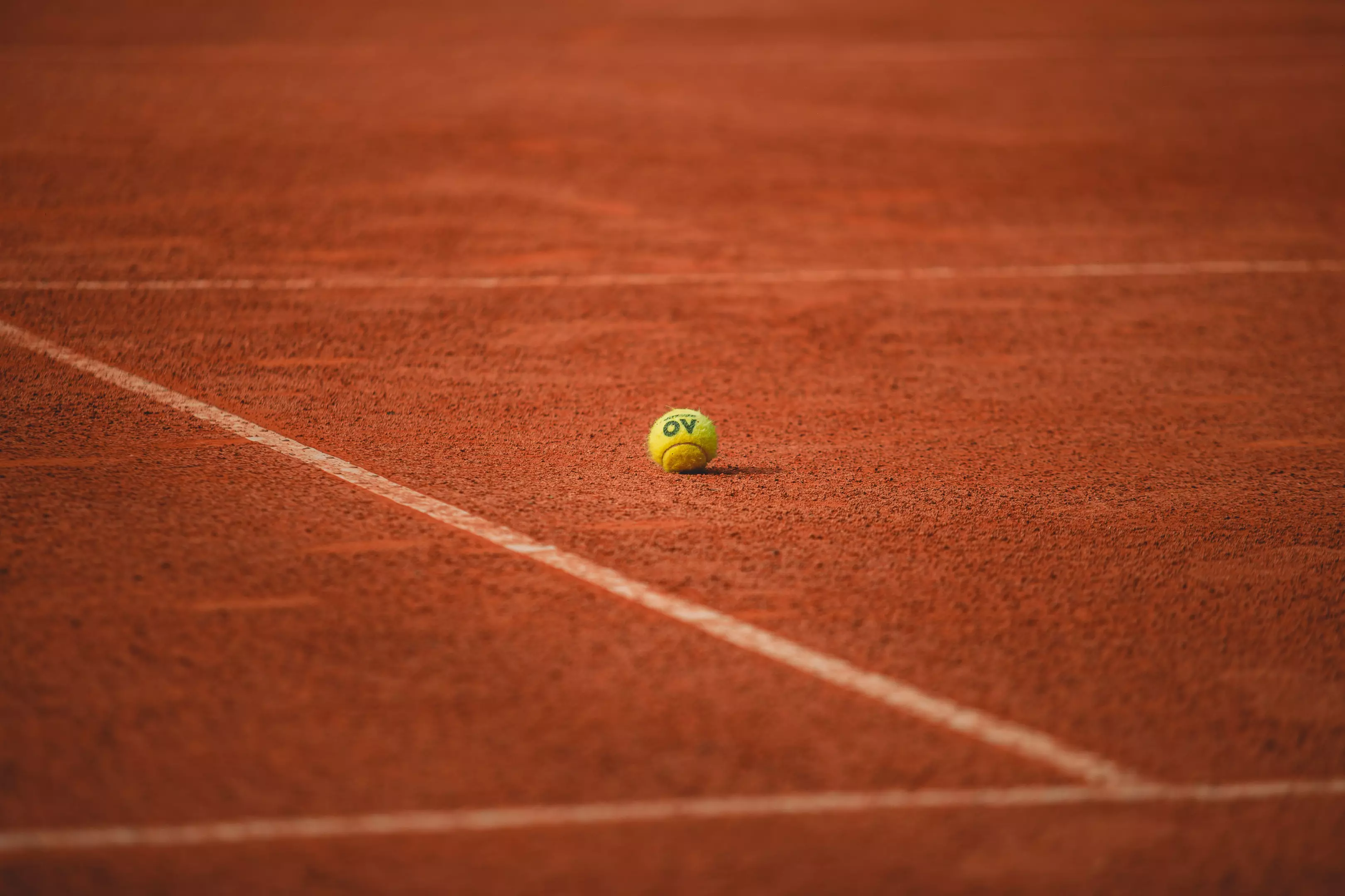 KompletnaizgradnjasportskihterenaBeogradPalilula27