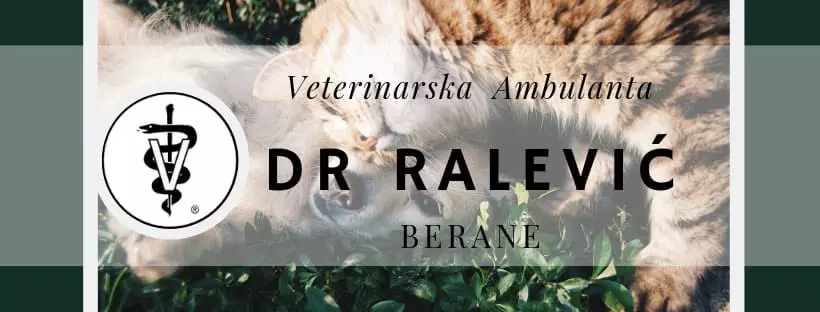 KompletneveterinarskeuslugeBerane KompletneveterinarskeuslugeBerane
