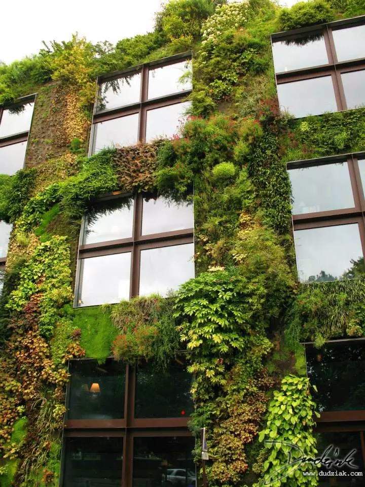 KompletnouređenjezelenihpovršinaNoviBeograd