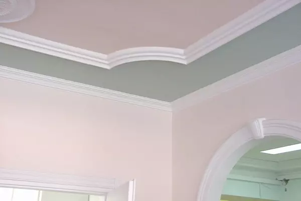 LajsnezauramljivanjeBeogradZvezdara