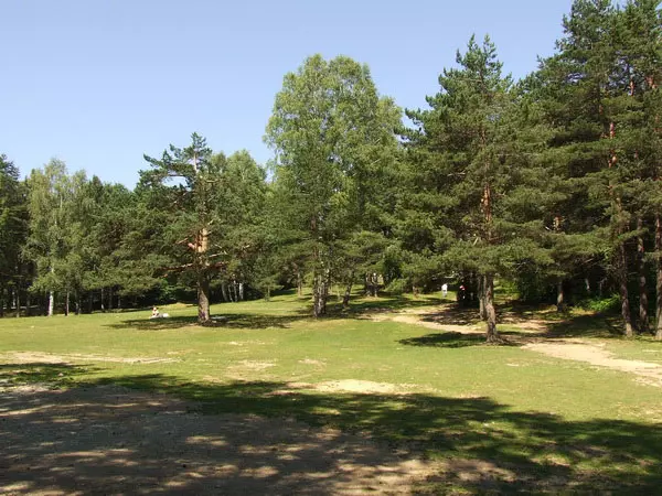 Lekovito-dejstvo-planine-Divcibare-na-posetioce Lekovito-dejstvo-planine-Divcibare-na-posetioce