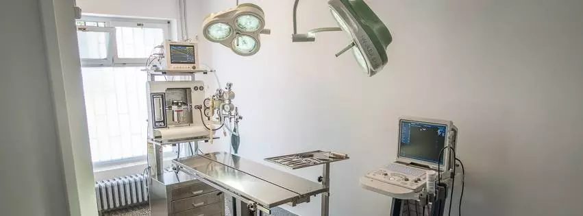 LečenjekućnihljubimacaObrenovac1 LečenjekućnihljubimacaObrenovac1