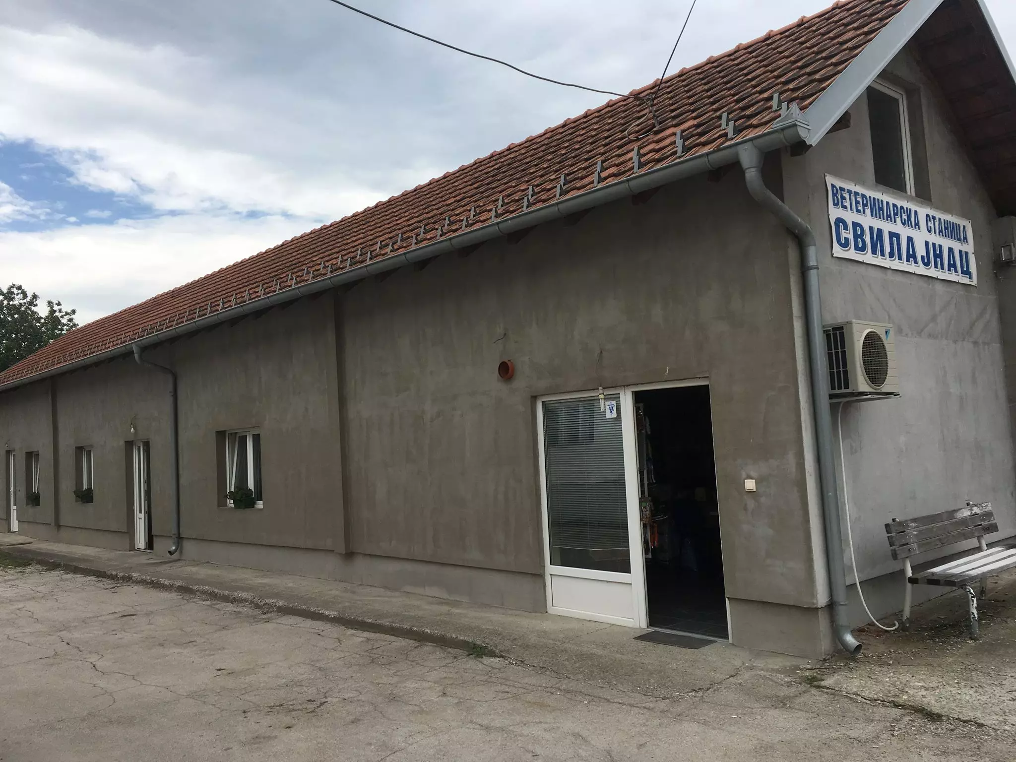 LečenjepasaimačakaSvilajnac11 LečenjepasaimačakaSvilajnac11