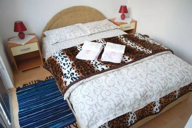 Moderan-apartmanski-smeštaj-Sokobanja4