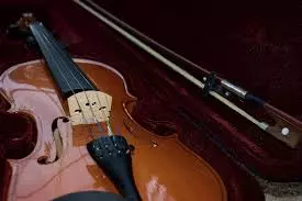 Nabavka-gudačkih-instrumenata-Beograd-Zvezdara1 Nabavka-gudačkih-instrumenata-Beograd-Zvezdara1