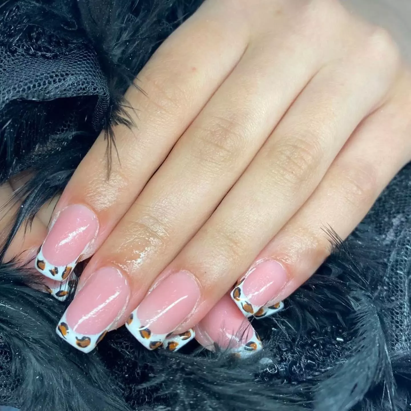 NadogradnjanoktijuZemun2