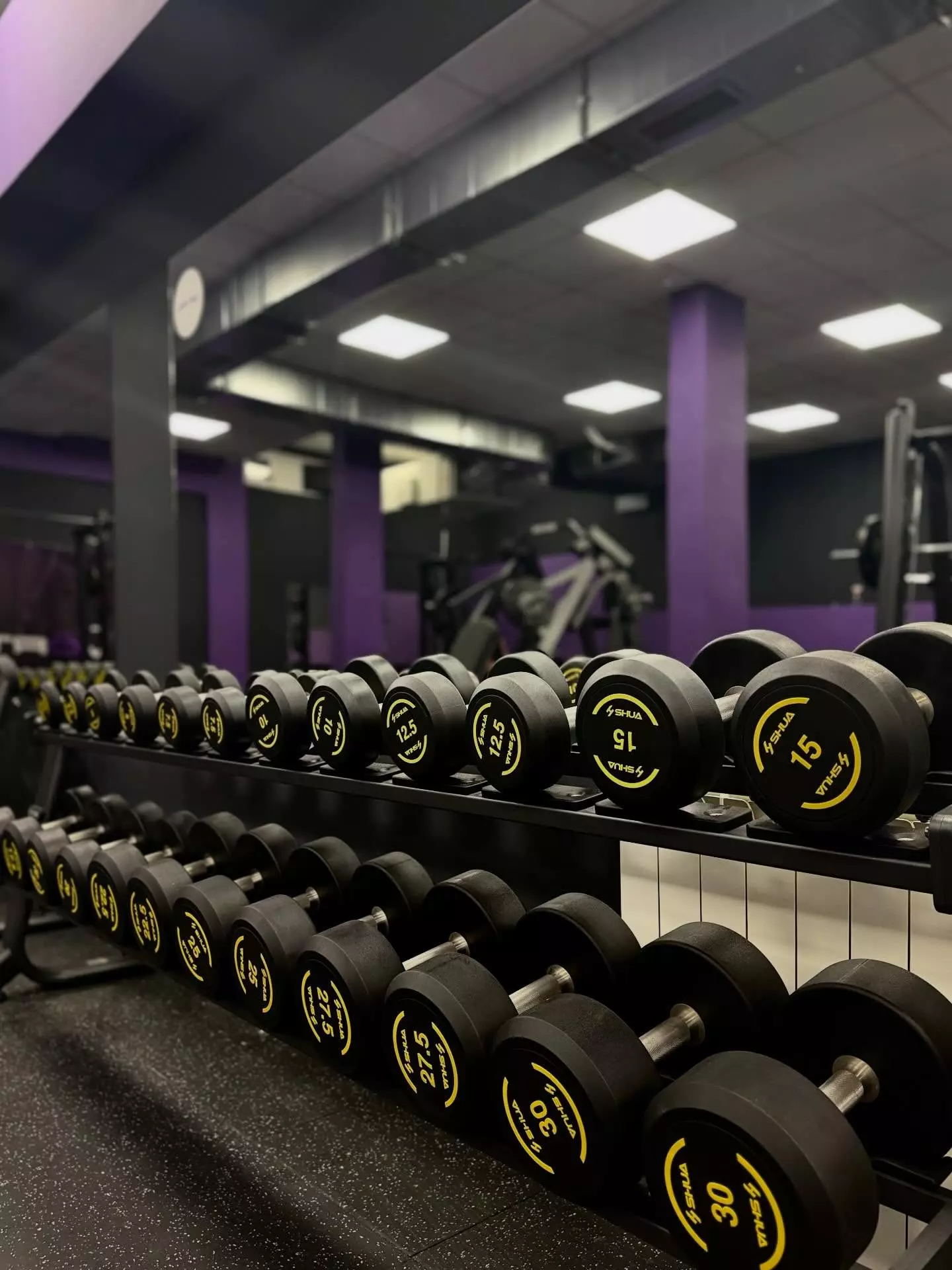 NajboljateretanaZvezadaraBeograd13