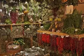 Najbolji-preparati-od-lekovitog-bilja-Smederevo1