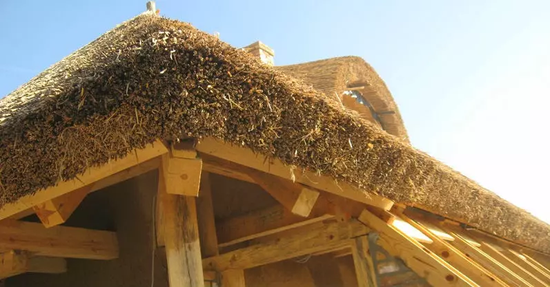 NajkvalitetnijikrovoviTemerin1