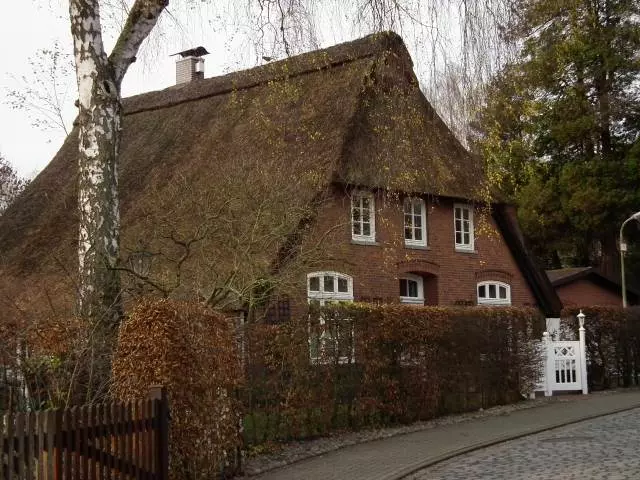 NajkvalitetnijikrovoviTemerin2