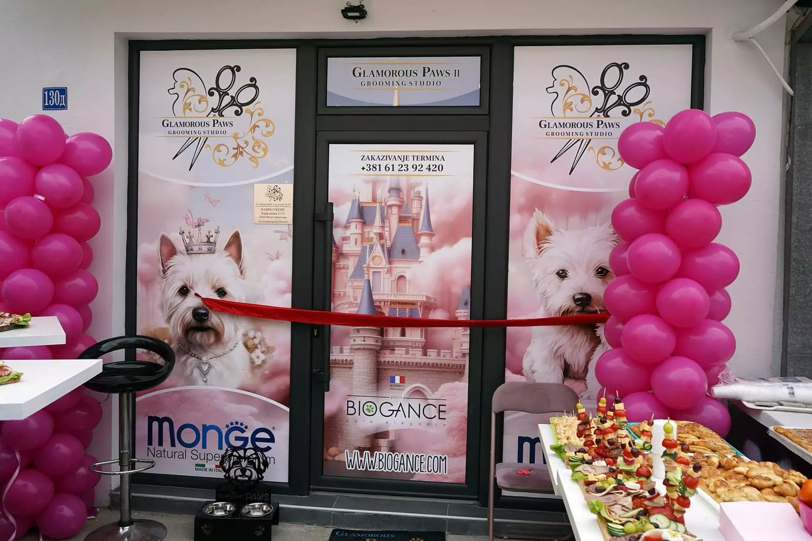 NegaisređivanjepasaAleksinac1