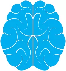 Neuropshijatrijska-ordinacija-Novi-Sad Neuropshijatrijska-ordinacija-Novi-Sad