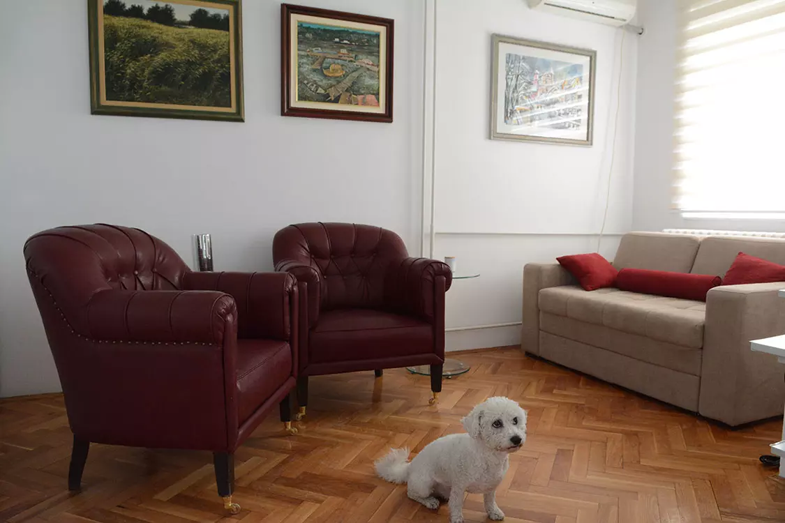 NeuropsihijatrijskaordinacijaNoviSad