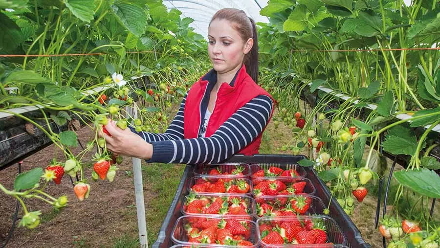 OrganizacijapoljoprivrednihradnikaNoviSad2