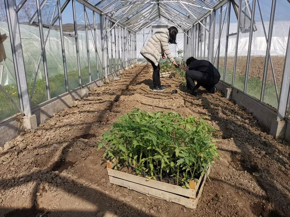 PoljoprivrednitehničarRekovac321