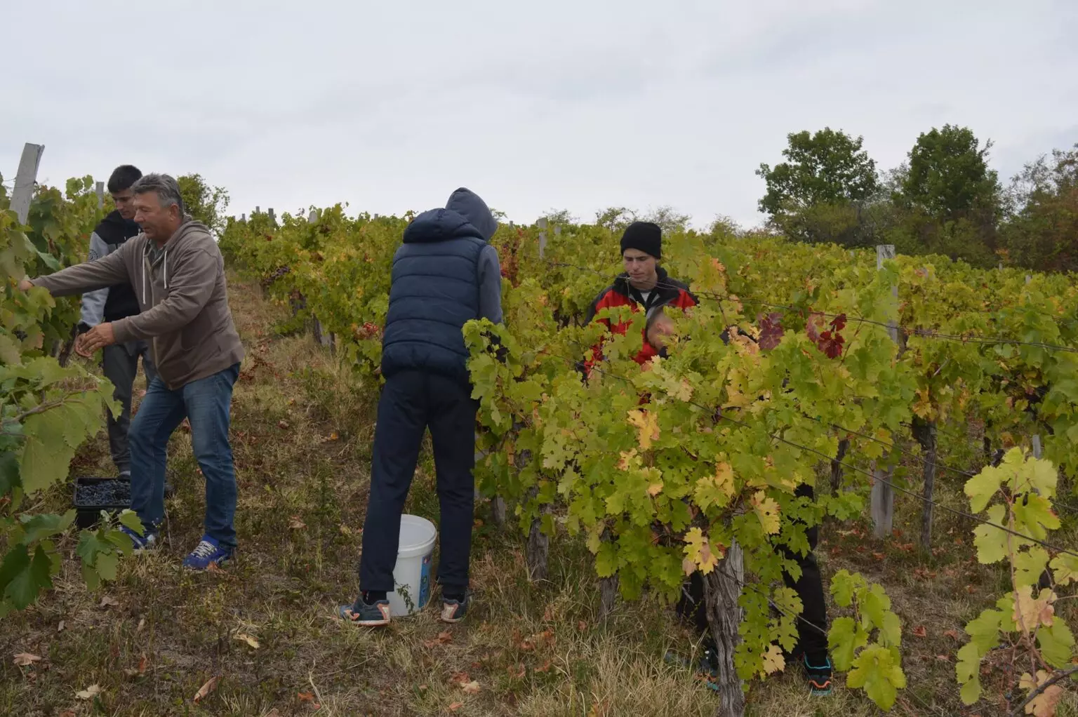 PoljoprivrednitehničarRekovac322