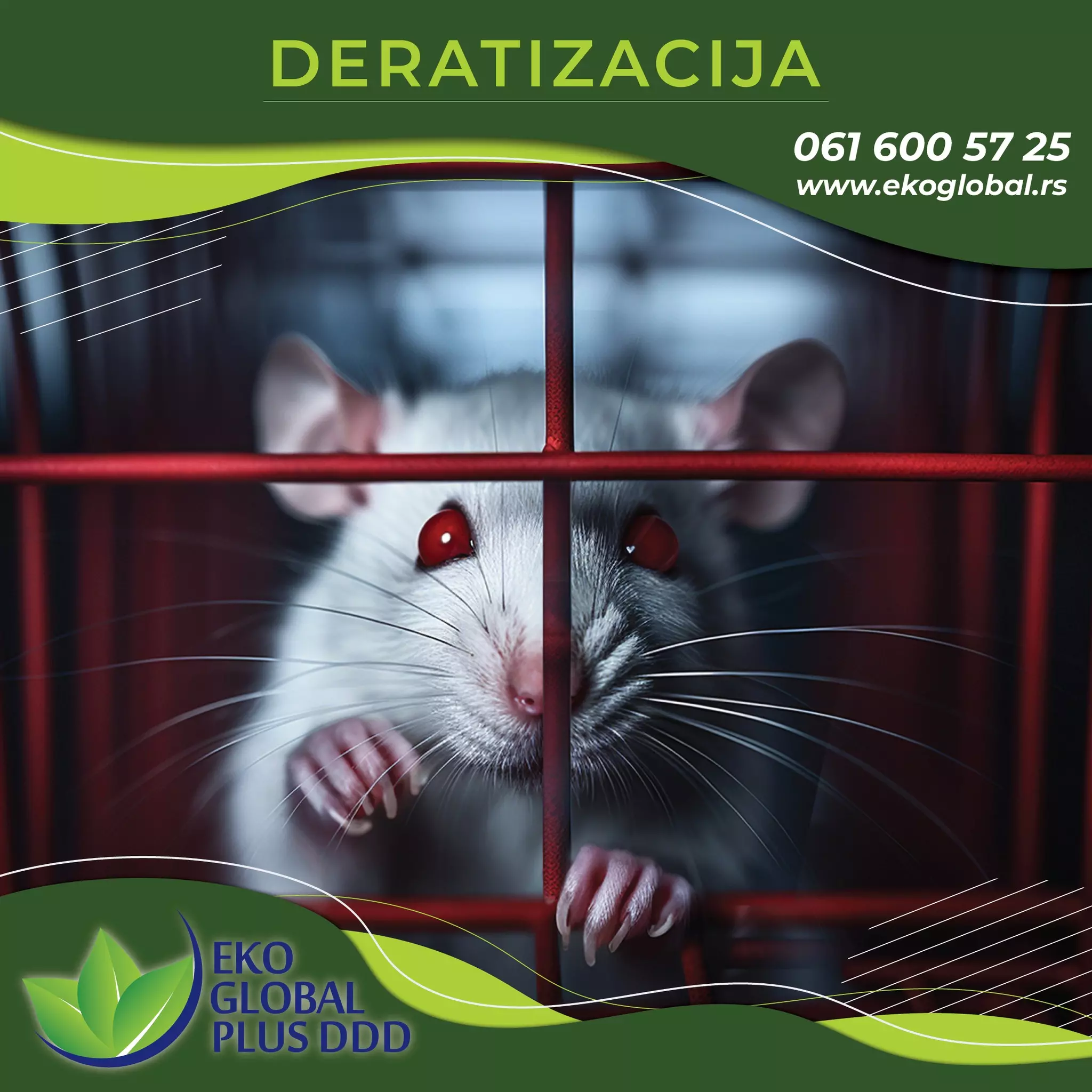 PouzdanaagencijazaderatizacijuBeogradSrbija6