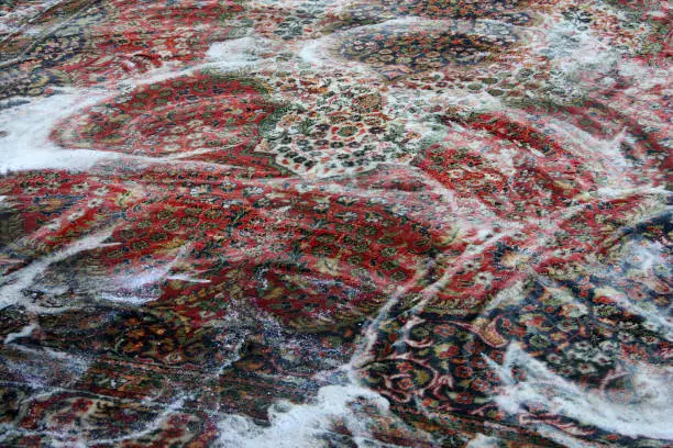 PranjetepihaKnjaževac5