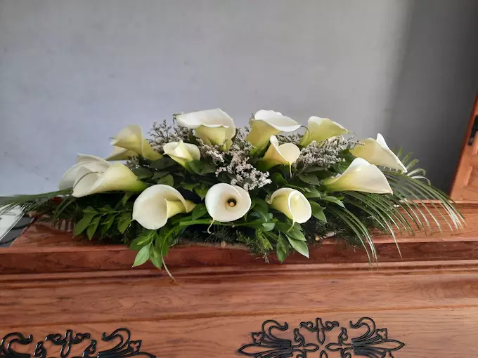 PrevozpokojnikaumeđunarodnomtransportuSrbijaJagodina