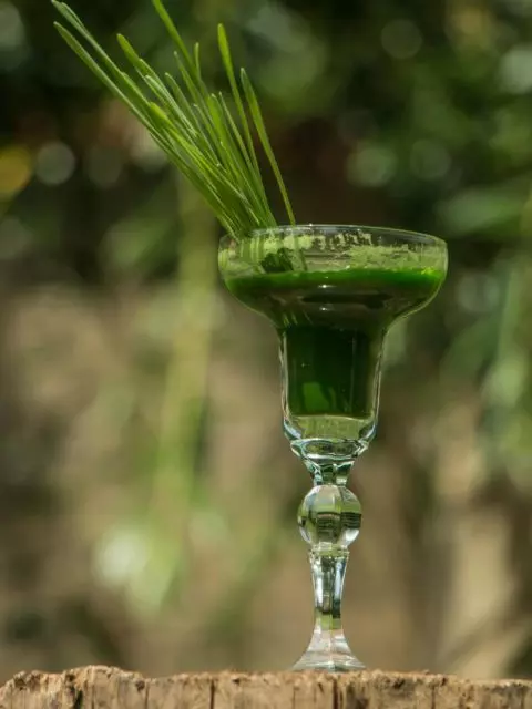 Prirodni-antioksidansi-zelenisokovi-Beograd-Palić8