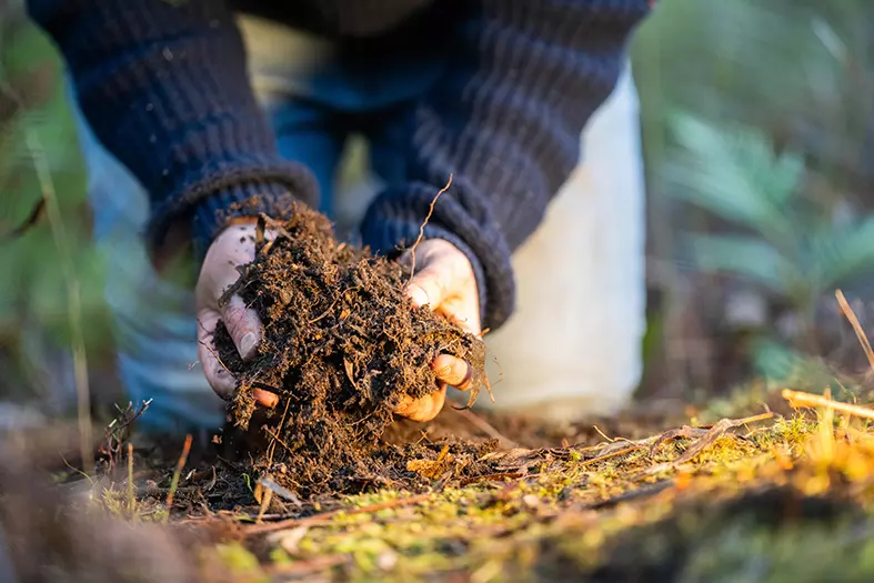 ProdajađubrivaPančevo2