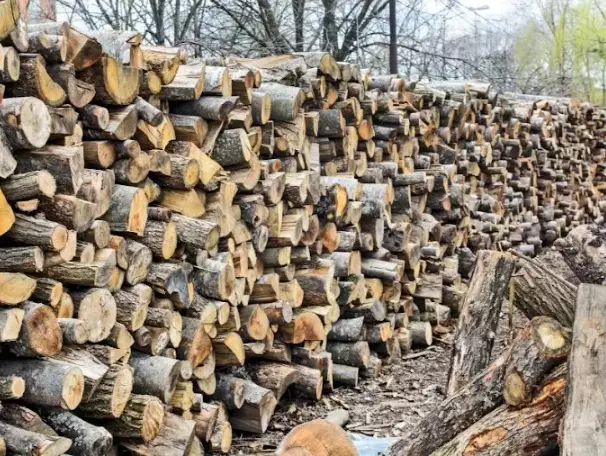 Ogrevno drvo složeno uz kuću