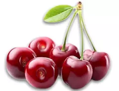 ProductionandexportoffruitČelarevo